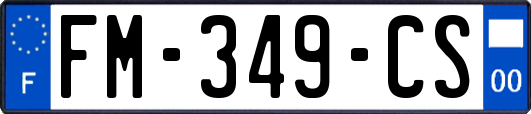FM-349-CS