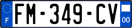 FM-349-CV