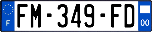 FM-349-FD