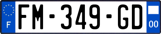 FM-349-GD