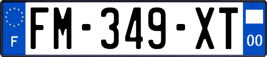 FM-349-XT