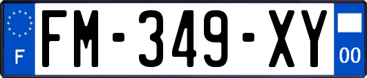 FM-349-XY