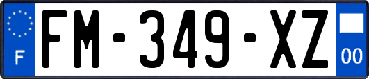FM-349-XZ