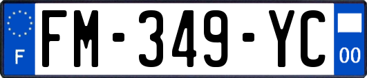 FM-349-YC
