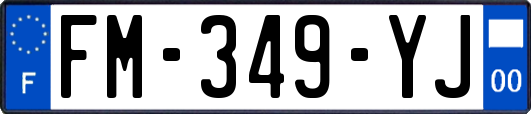 FM-349-YJ