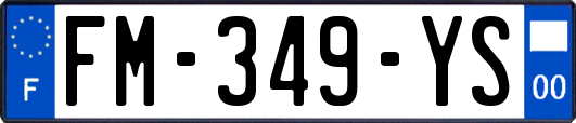 FM-349-YS