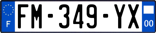 FM-349-YX