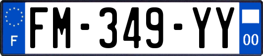 FM-349-YY