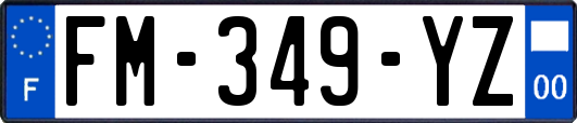 FM-349-YZ