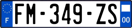 FM-349-ZS