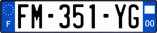 FM-351-YG