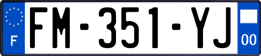 FM-351-YJ