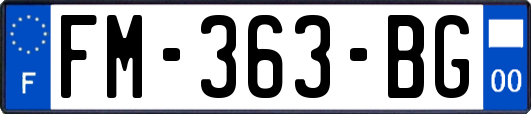 FM-363-BG