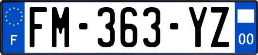 FM-363-YZ