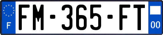 FM-365-FT