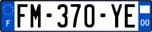 FM-370-YE