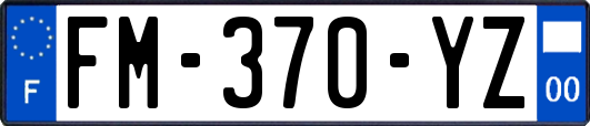 FM-370-YZ