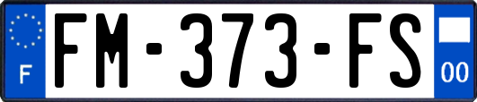 FM-373-FS