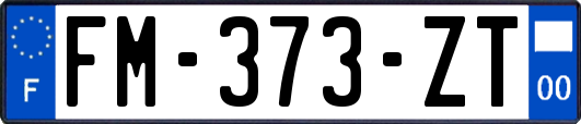 FM-373-ZT