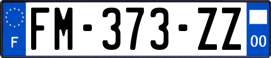 FM-373-ZZ