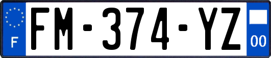 FM-374-YZ