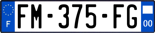FM-375-FG