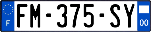 FM-375-SY