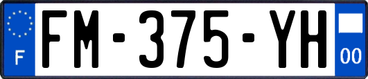 FM-375-YH