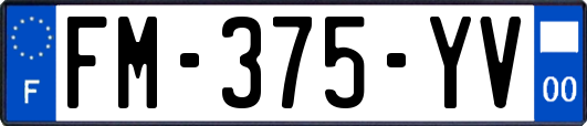 FM-375-YV
