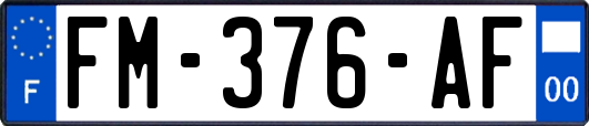 FM-376-AF