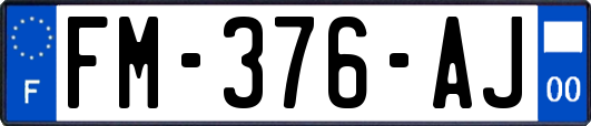 FM-376-AJ