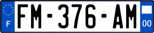 FM-376-AM