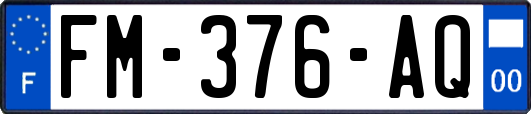 FM-376-AQ