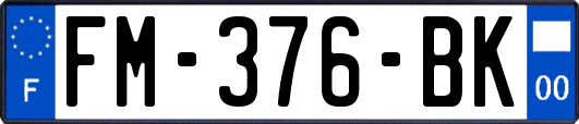 FM-376-BK