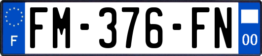 FM-376-FN