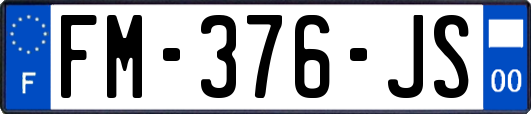 FM-376-JS