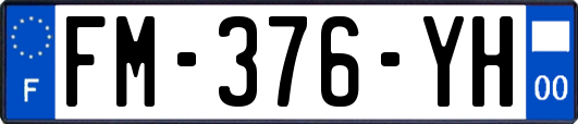 FM-376-YH