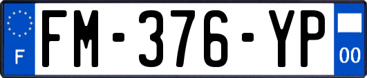 FM-376-YP