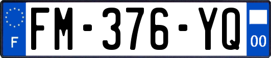 FM-376-YQ