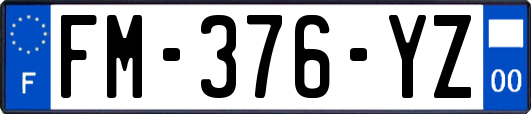 FM-376-YZ