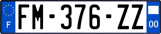 FM-376-ZZ