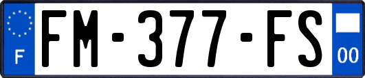 FM-377-FS