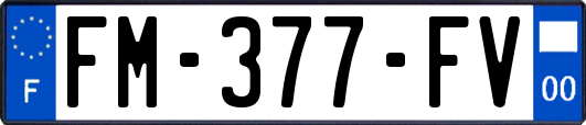 FM-377-FV