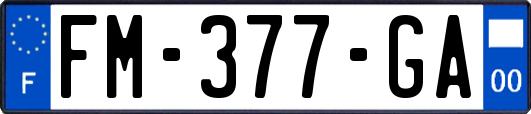 FM-377-GA