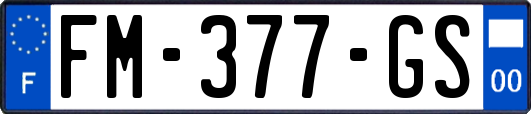 FM-377-GS