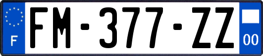 FM-377-ZZ