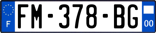 FM-378-BG