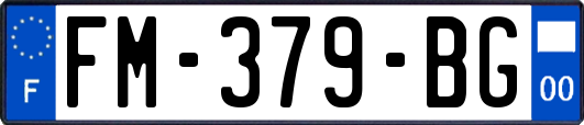 FM-379-BG