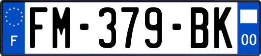 FM-379-BK