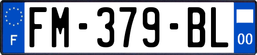 FM-379-BL